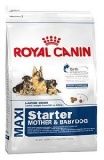 Сухой корм для щенков Royal Canin Maxi Starter